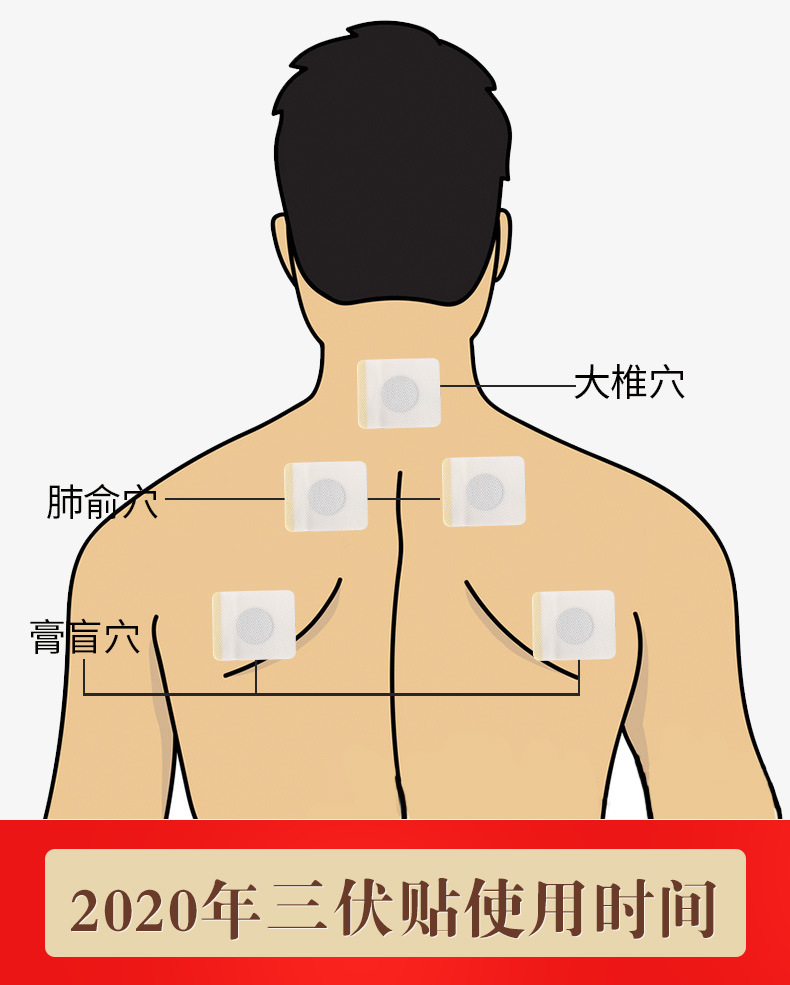 三伏贴操作说明